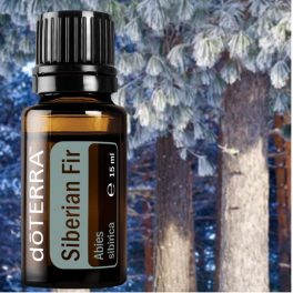   dōTERRA Siberian Fir - Szibériai fenyő  esszenciális olaj