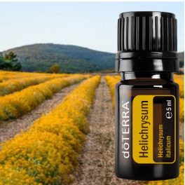   dōTERRA Helichrysum italicum - Olasz szalmagyopár -  regeneráló