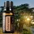 dōTERRA Cedarwood - Vörös cédrus