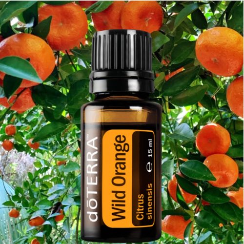 dōTERRA Wild Orange - Vadnarancs