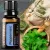 dōTERRA Borsmenta esszenciális olaj 
