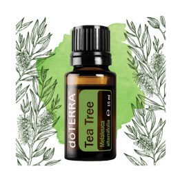   dōTERRA  Teafa (Melaleuca) Melaleuca alternifolia esszenciális olaj