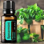dōTERRA Spearmint - Fodormenta  olaj