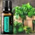 dōTERRA Spearmint - Fodormenta  olaj