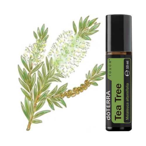 dōTERRA  Teafa (Melaleuca) Touch - Melaleuca alternifolia Touch 