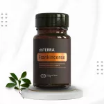 dōTERRA Tömjén mikrogyöngyös kapszula - Táplálékkiegészítő tömjénkivonatból nyert AKBA-val és Tömjén esszenciális olajjal 