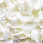 MATIS Cell Skin (50 ml)