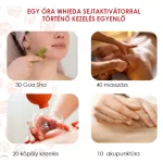Whieda Terahertz™ – Sejtszintű vitalitás, sejtaktivátor