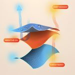 WHIEDA Yangsheng HEALTH SLEEP SYSTEM™ - prémium alvásrendszer