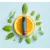 dōTERRA SPA LIP ORIGINAL - ajakbalzsam eredeti