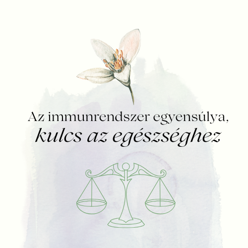 Az immunrendszer egyensúlya: a kulcs az egészségedhez!